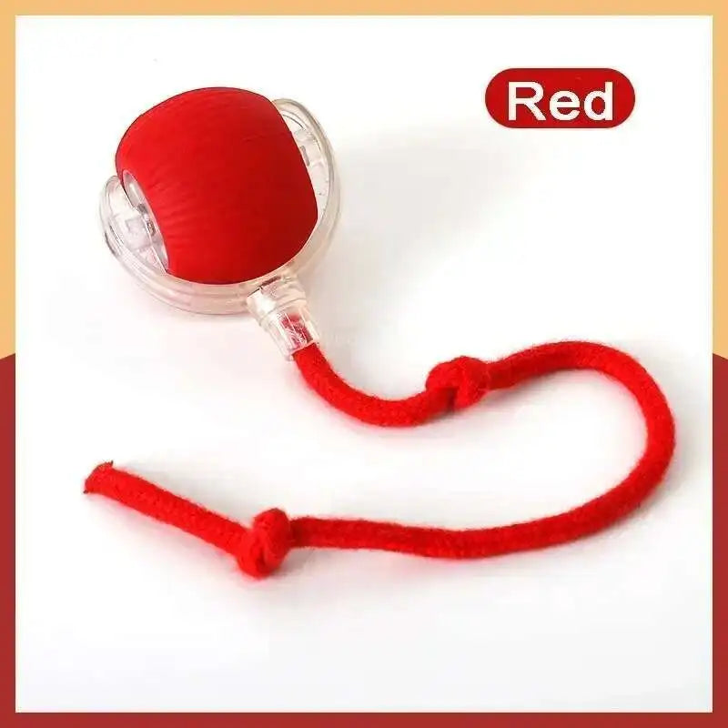 product_image_37350612000046359671817