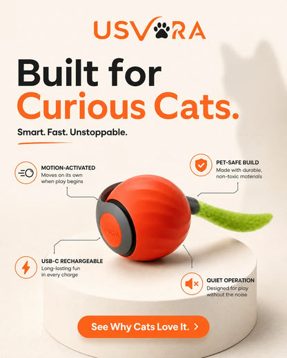 Speedy Tail 2.0™ – Smart Interactive Rolling Cat Toy