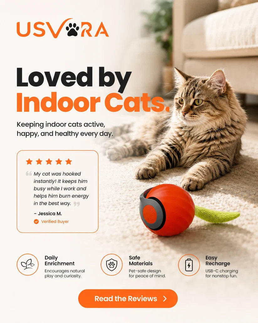 Speedy Tail 2.0™ – Smart Interactive Rolling Cat Toy