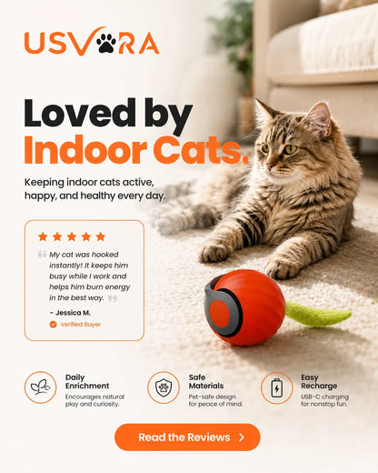 Speedy Tail 2.0™ – Smart Interactive Rolling Cat Toy