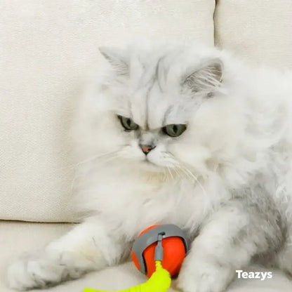 SPEEDY TAIL 2.0 (Copy)