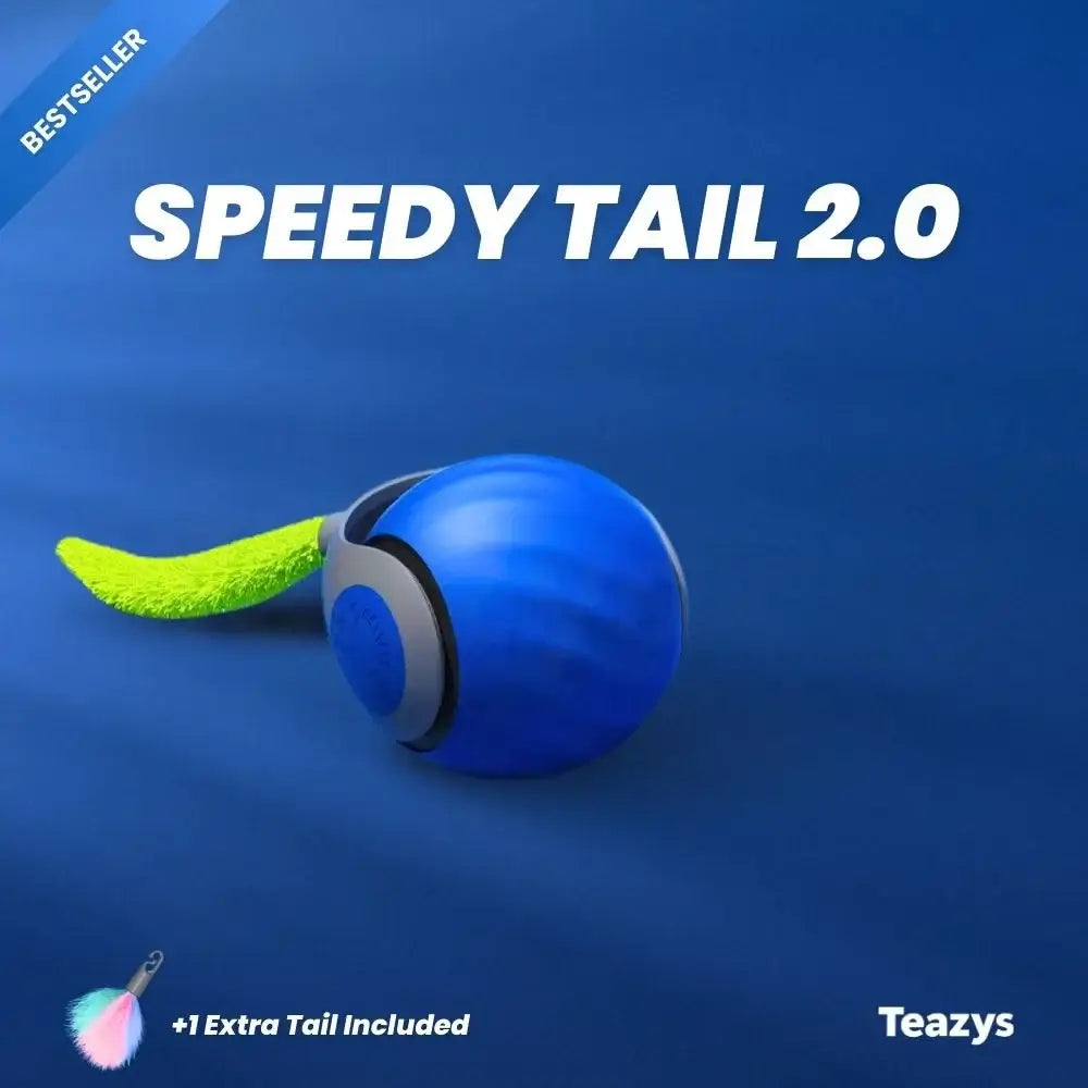 SPEEDY TAIL 2.0 (Copy)