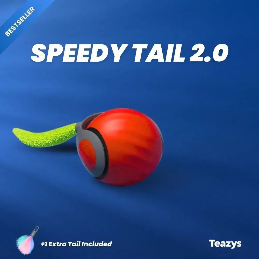SPEEDY TAIL 2.0 (Copy)