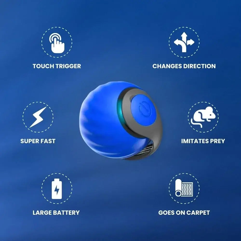SPEEDY TAIL 2.0 (Copy)