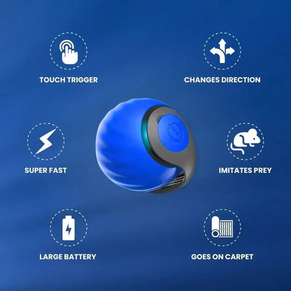 SPEEDY TAIL 2.0 (Copy)