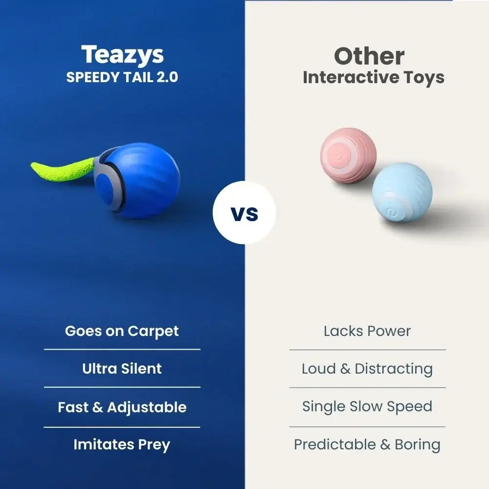 SPEEDY TAIL 2.0 (Copy)