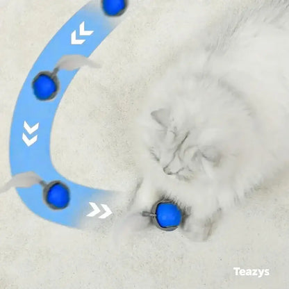 SPEEDY TAIL 2.0 (Copy)
