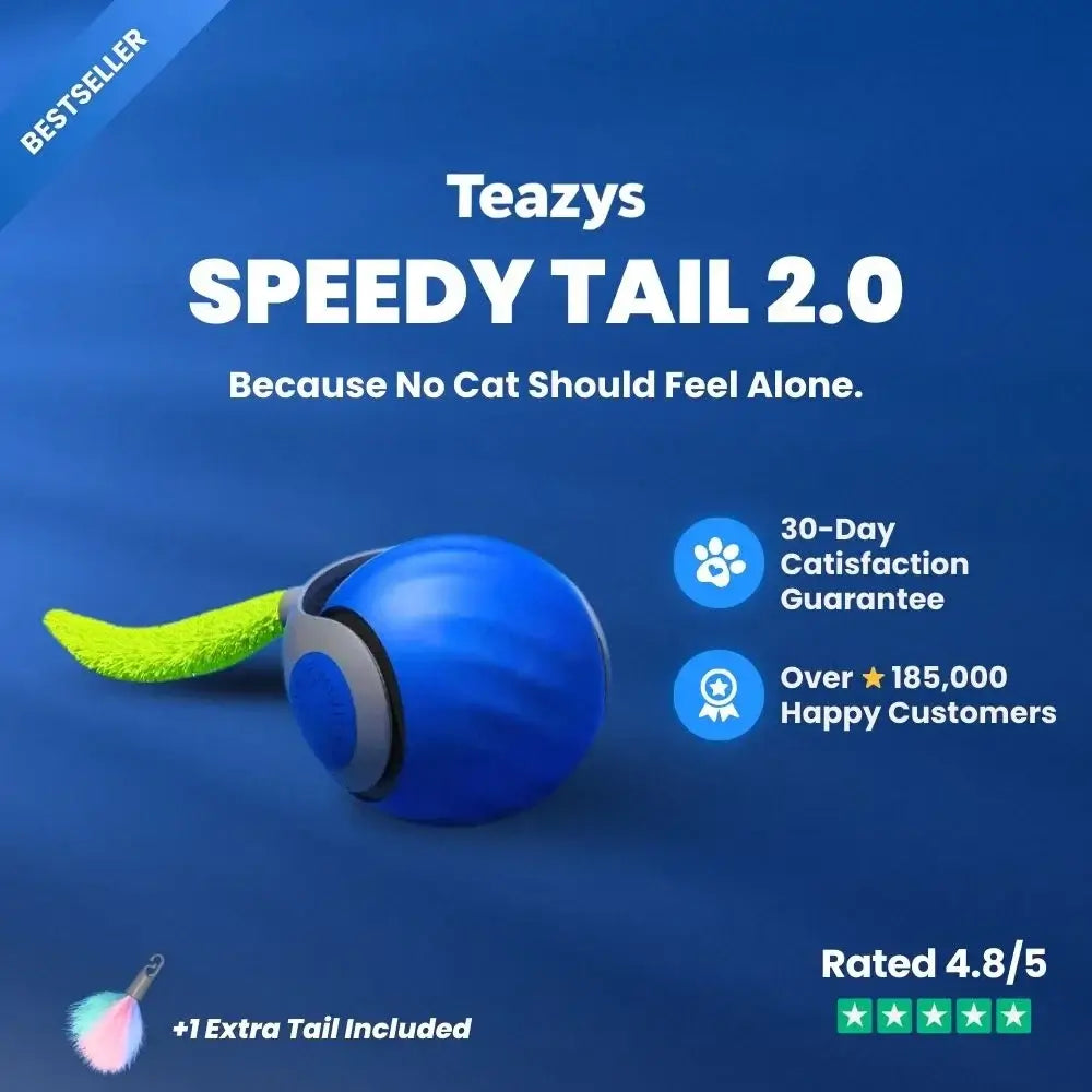 SPEEDY TAIL 2.0 (Copy)