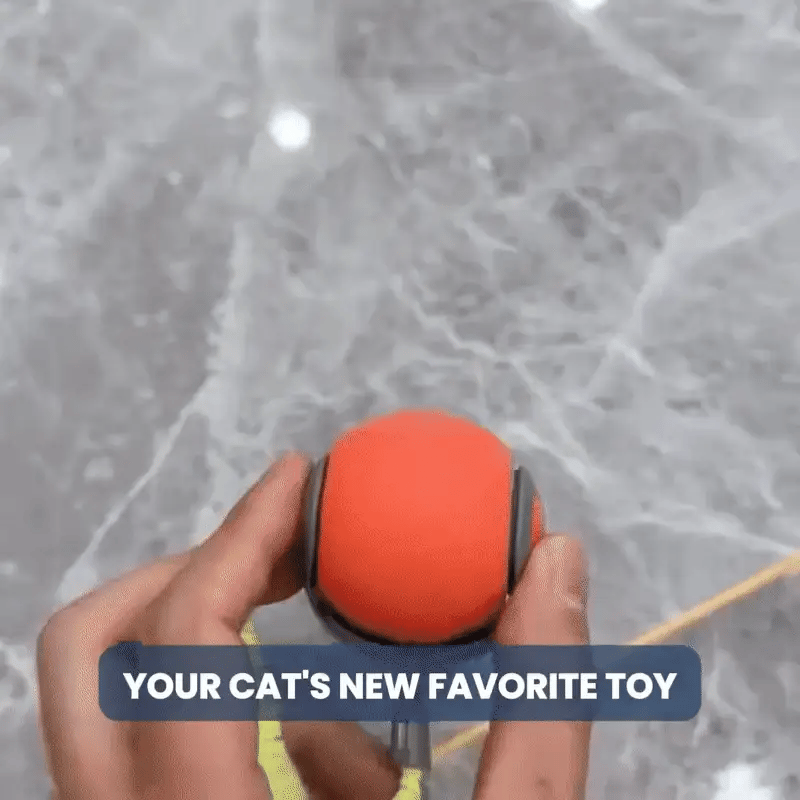 Speedy Tail 2.0™ – Smart Interactive Rolling Cat Toy