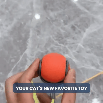 Speedy Tail 2.0™ – Smart Interactive Rolling Cat Toy