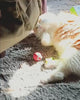 vizup-app-videos