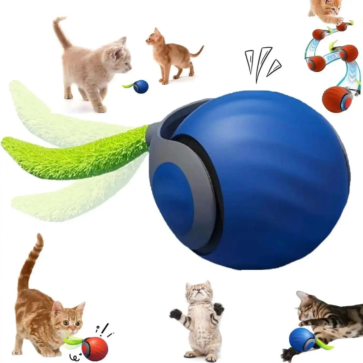 product_image_37350612000046359671816