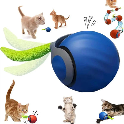 product_image_37350612000046359671816