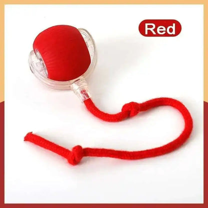 product_image_37350612000046359671817