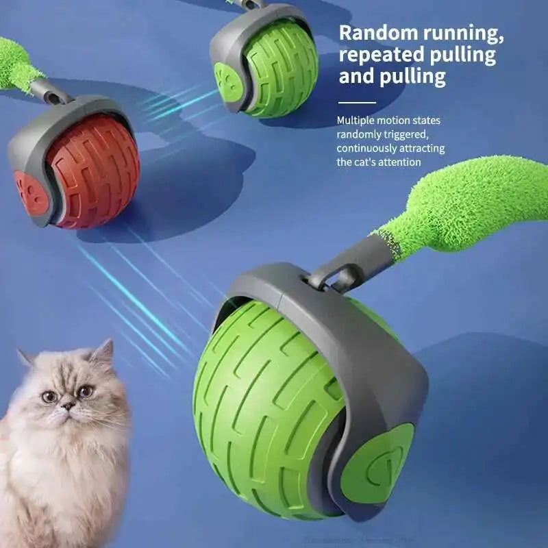 product_image_373506_jpg_jpg_jpg_jpg