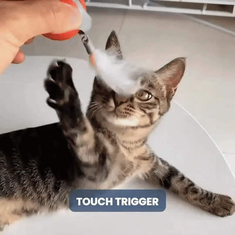 Speedy Tail 2.0™ – Smart Interactive Rolling Cat Toy